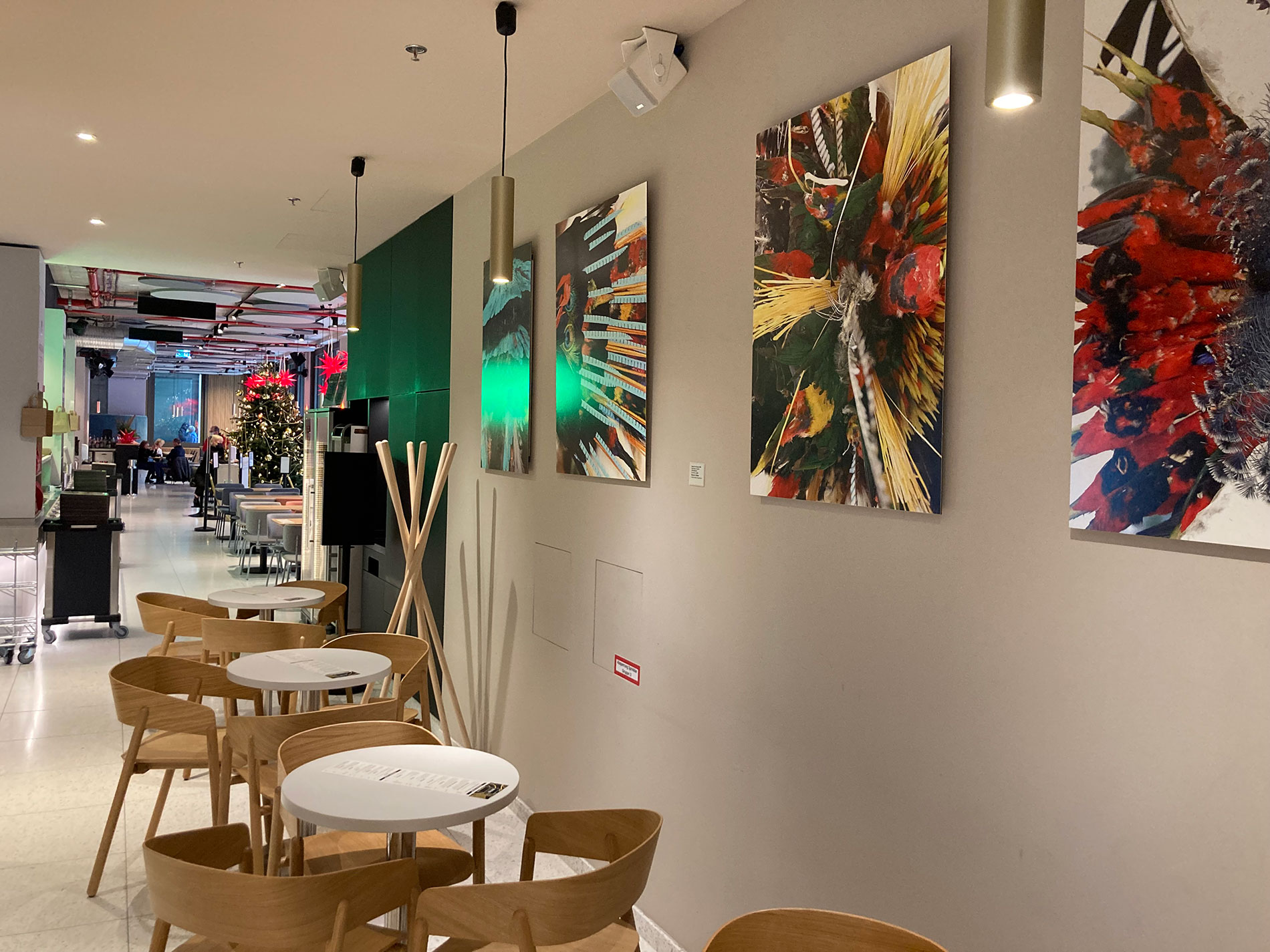 Papua heute - Körper Kunst Kult