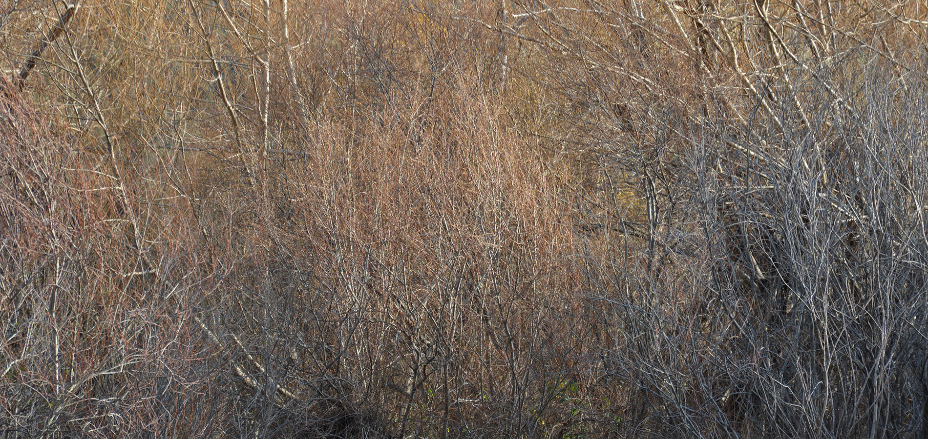 Dezemberfarben auf Korsika