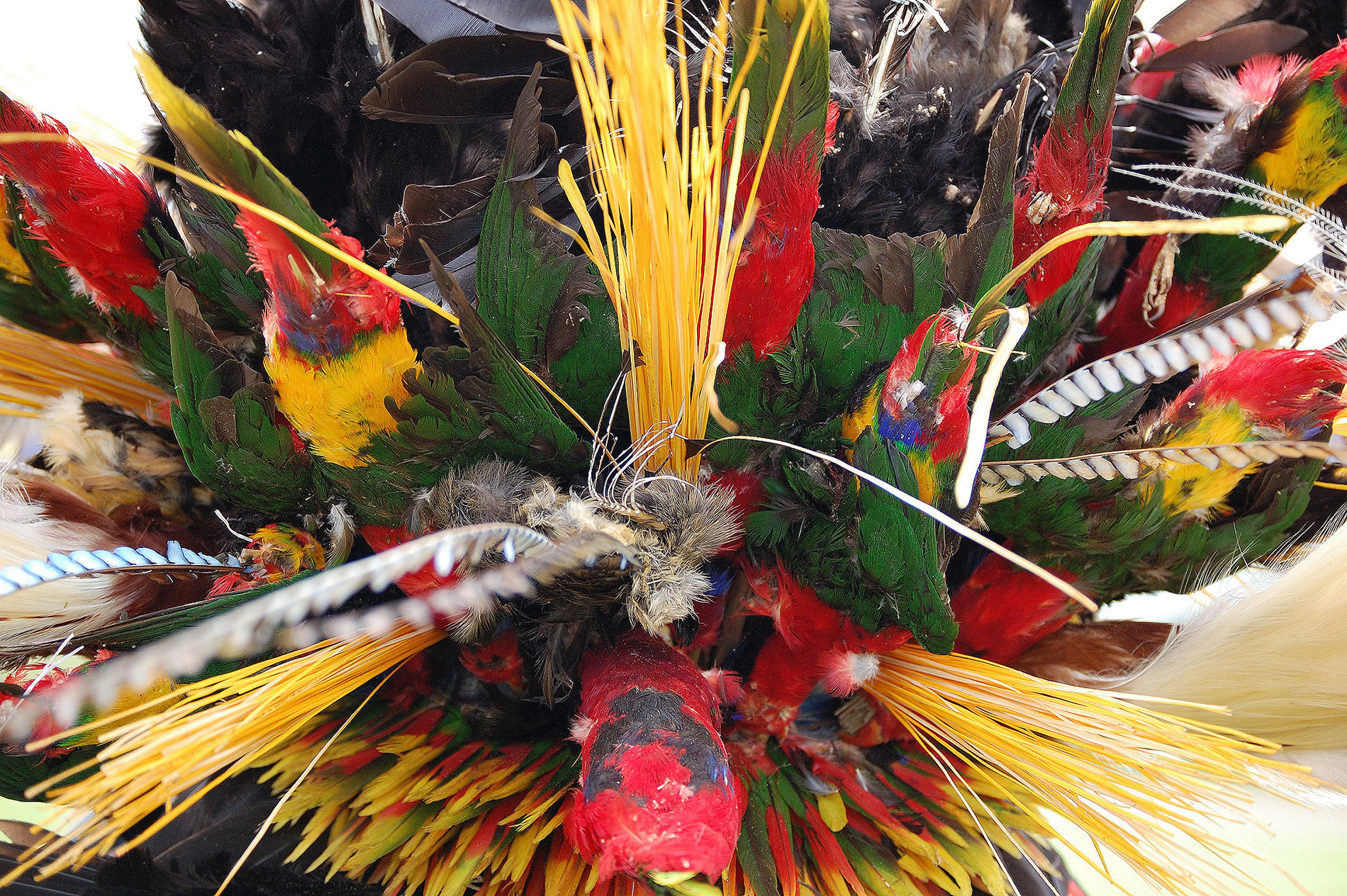 Papua heute - Körper Kunst Kult