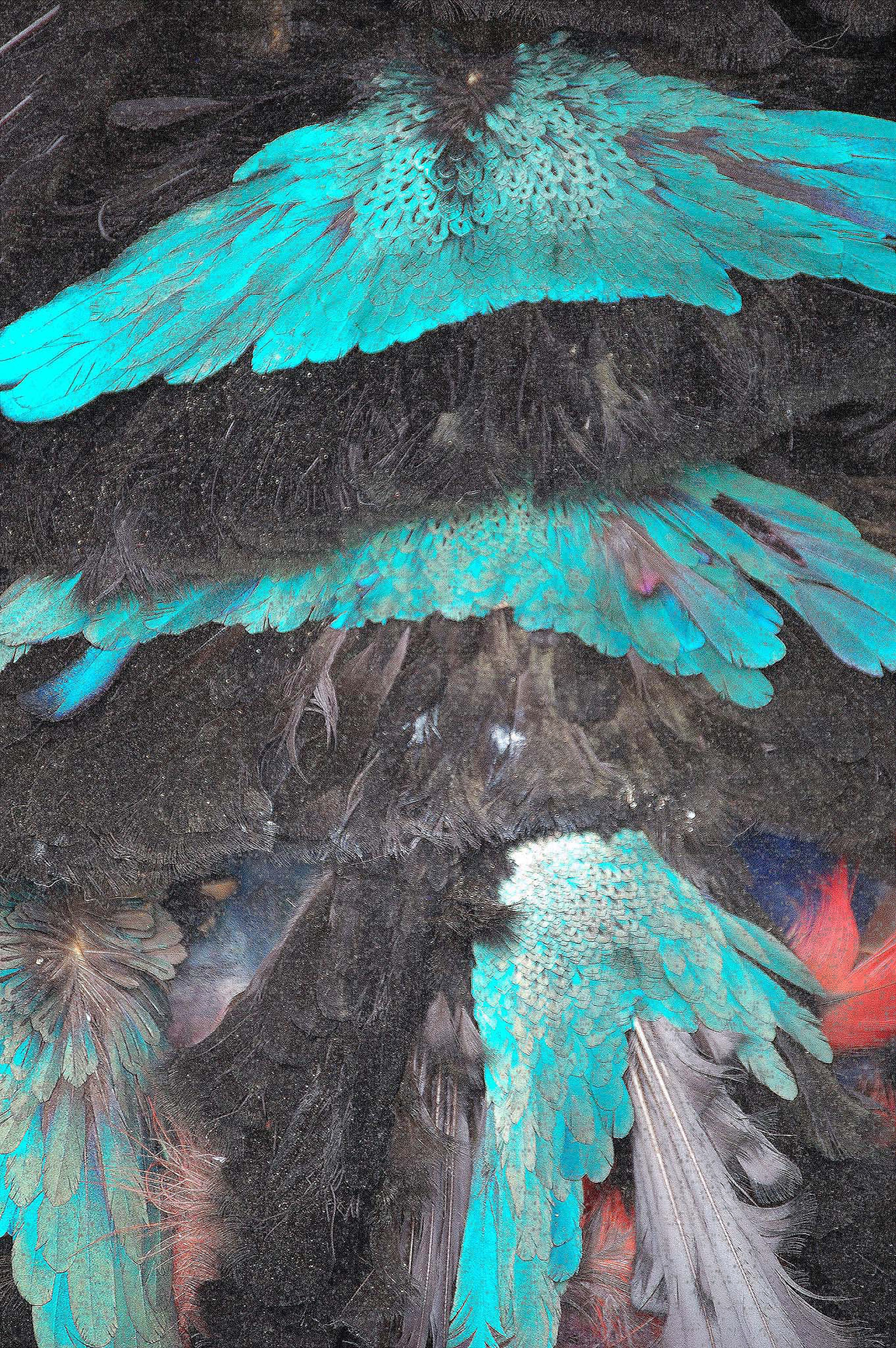 Papua heute - Körper Kunst Kult