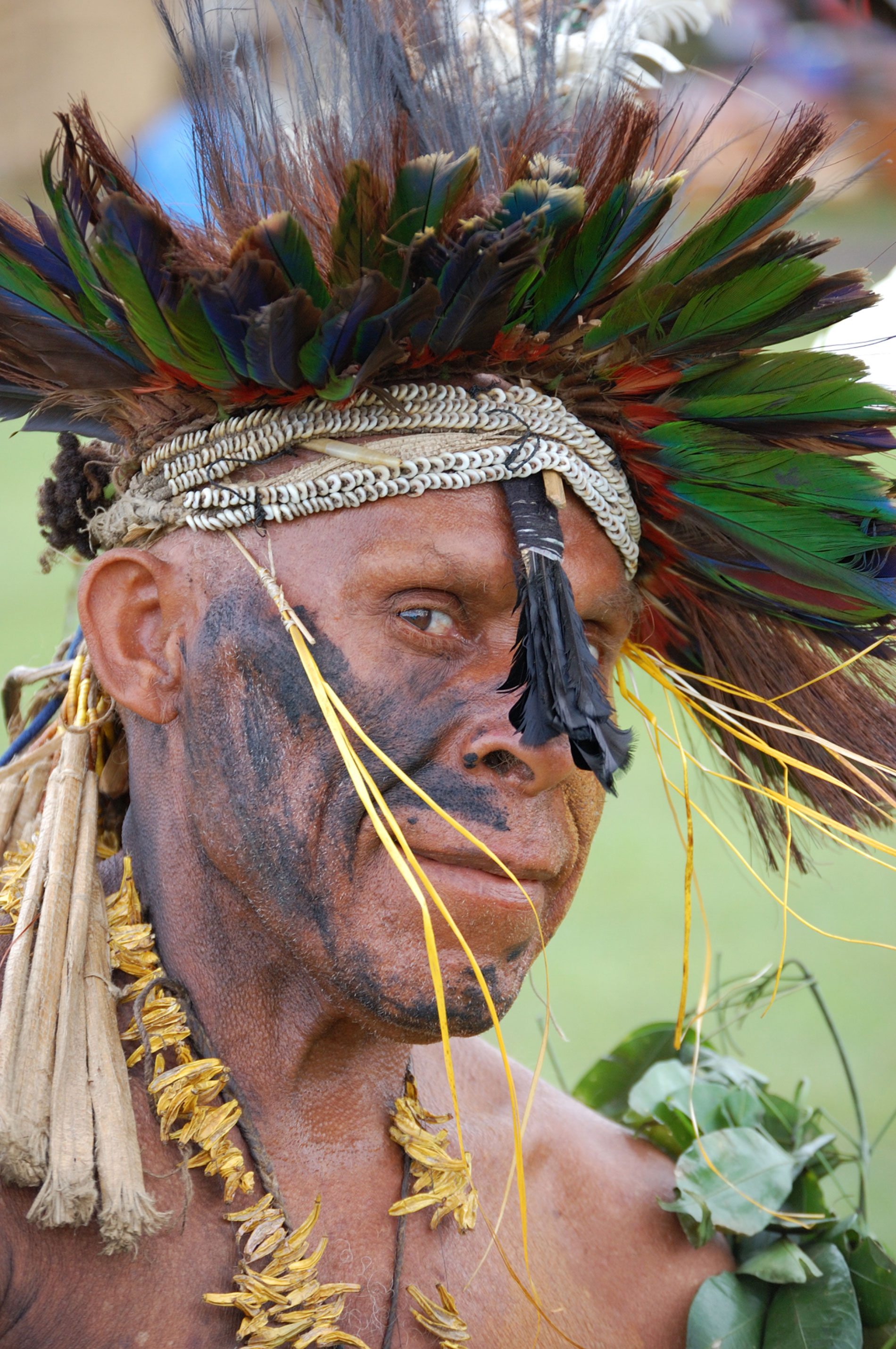 Papua heute - Körper Kunst Kult