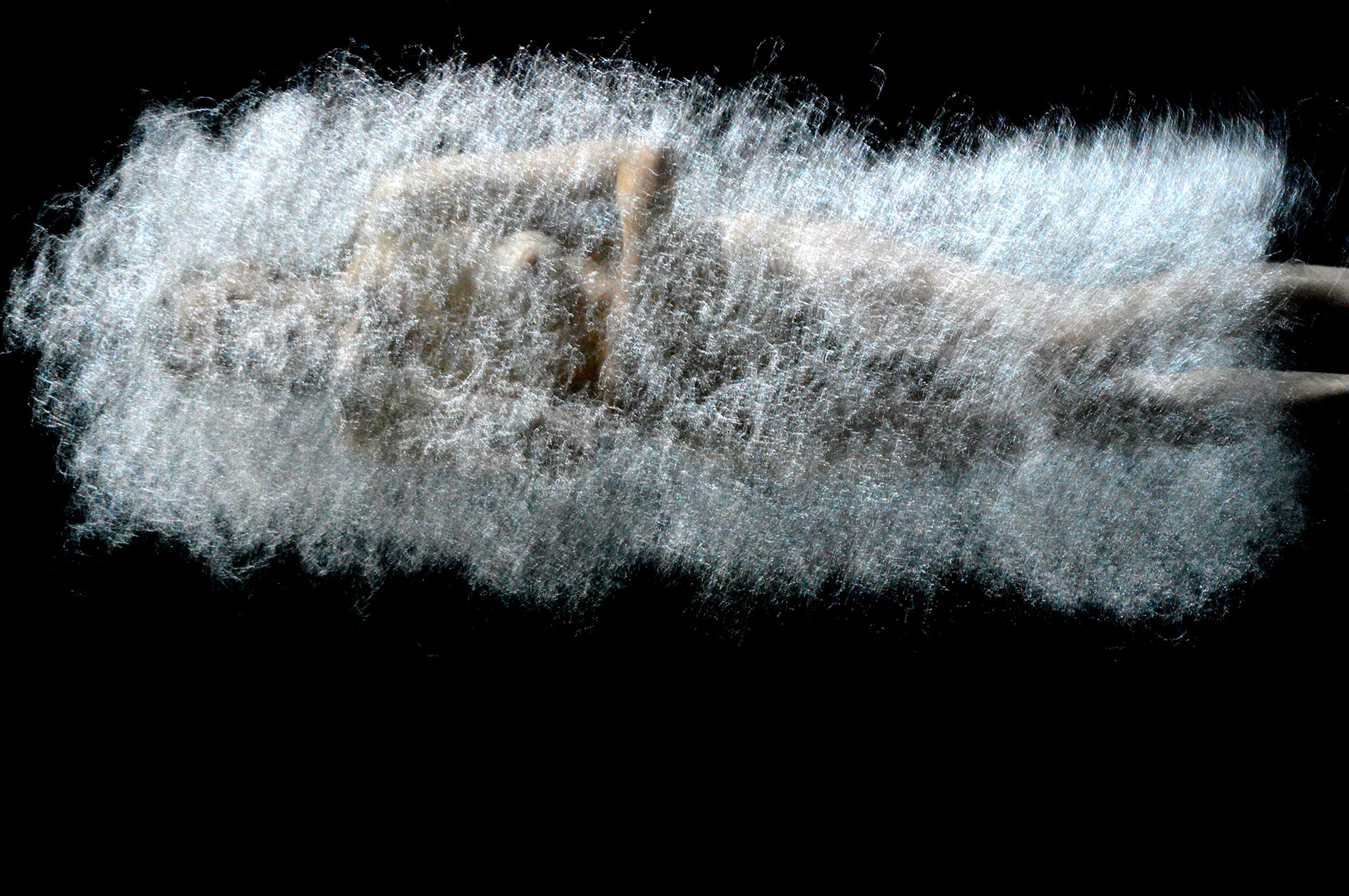 Sasha Waltz – Kreatur