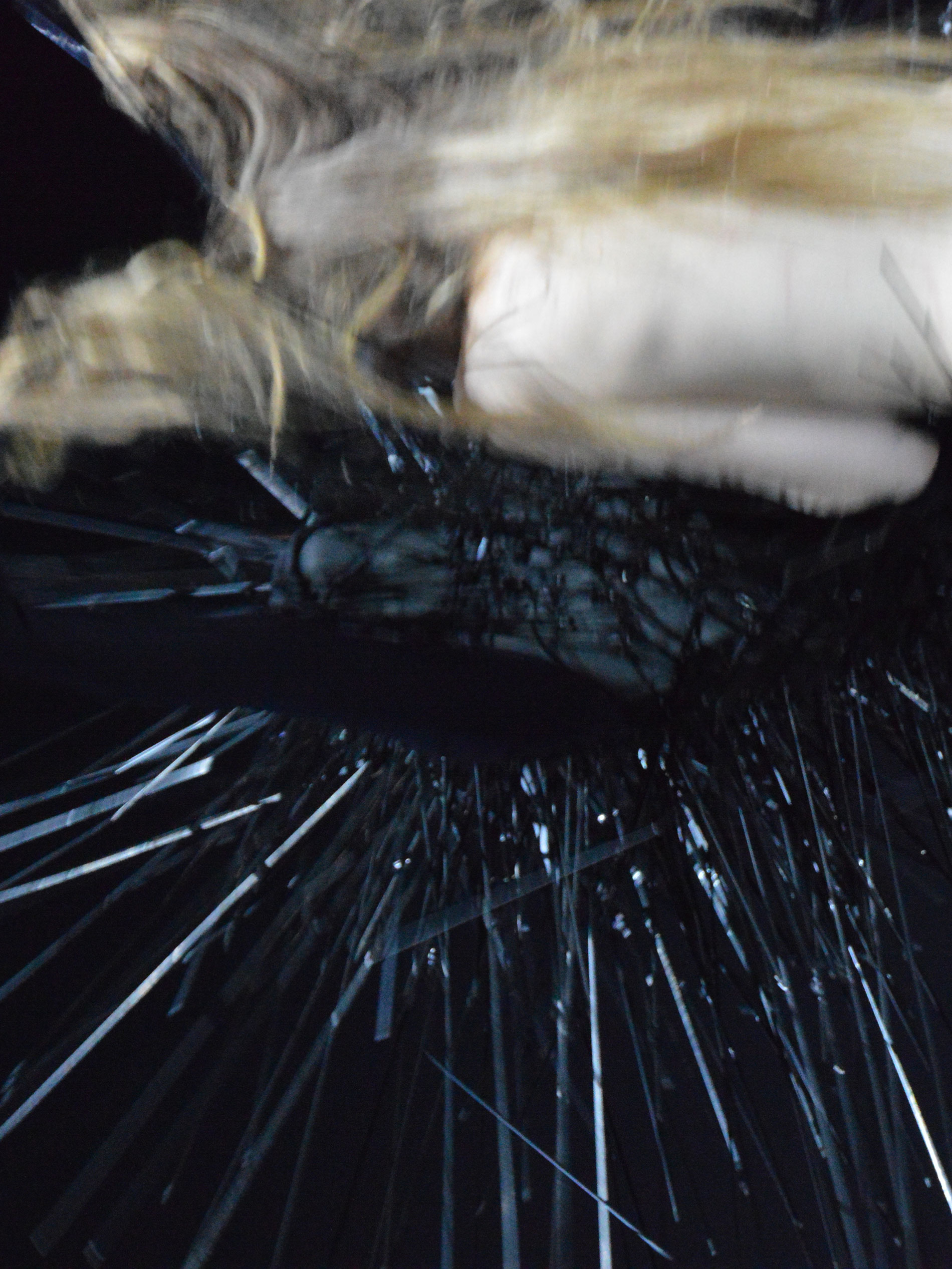 Sasha Waltz – Kreatur