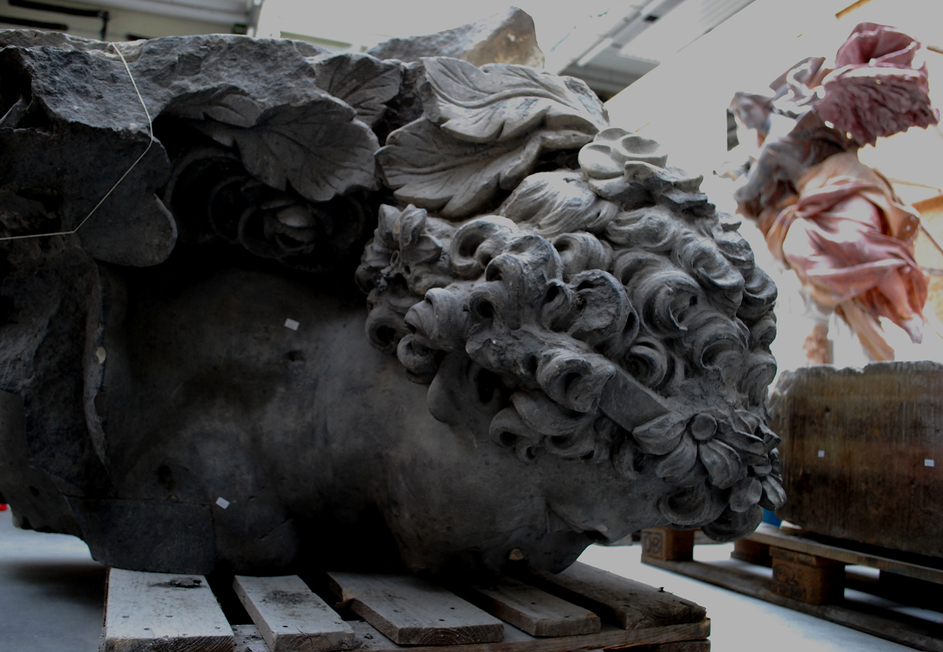 Schmerz und Schönheit