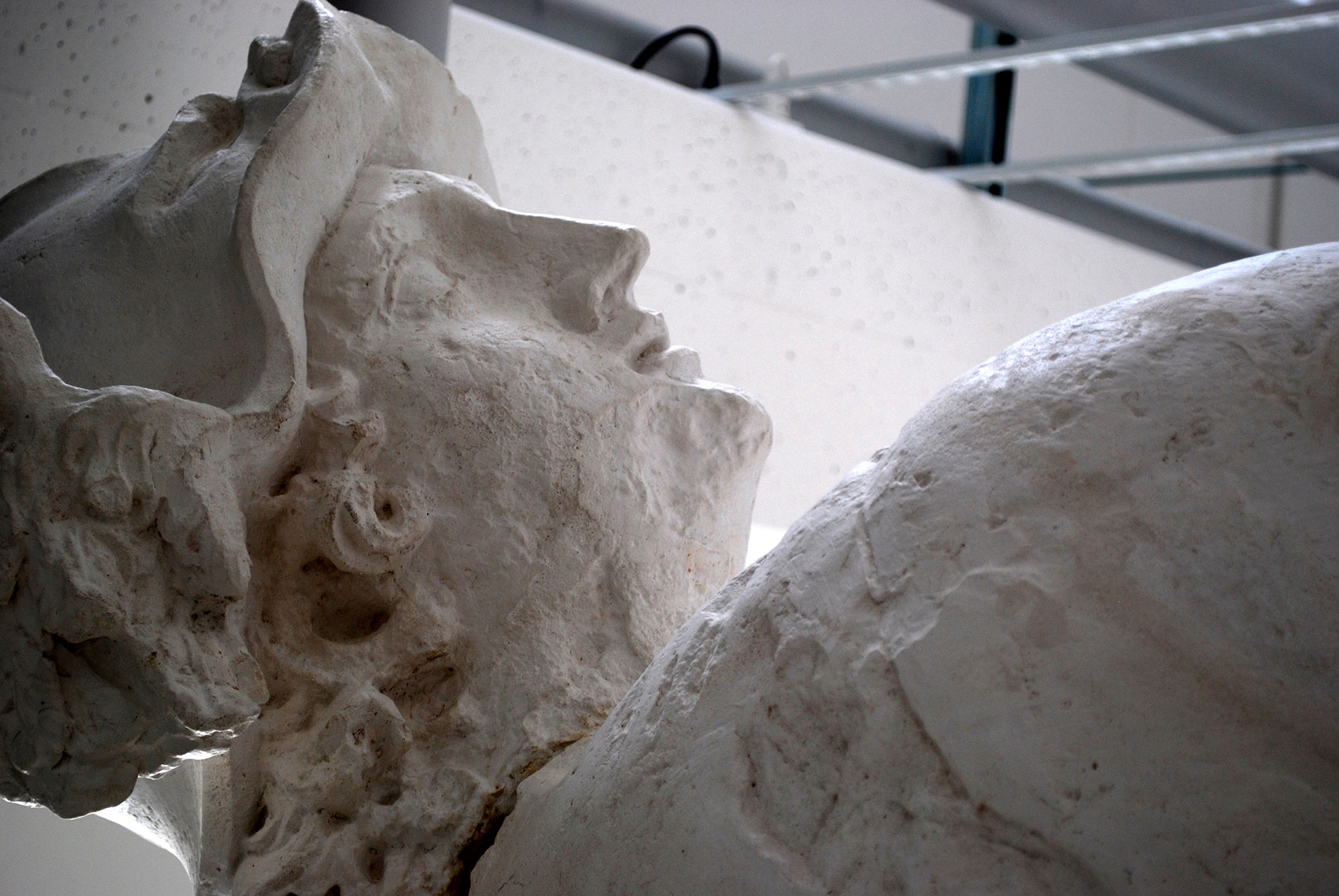 Schmerz und Schönheit